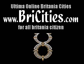 www.bricities.com