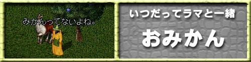 邾ŖIE݂
