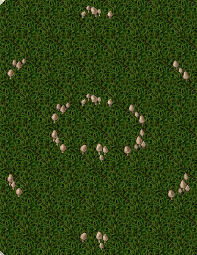 fairy ring