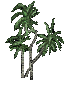 small palm-3-A