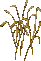 wheat0c55.png