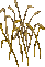 wheat0c56.png